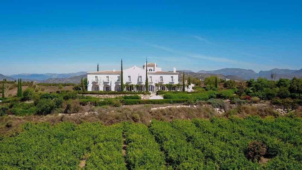 Cortijo Bravo 52/61