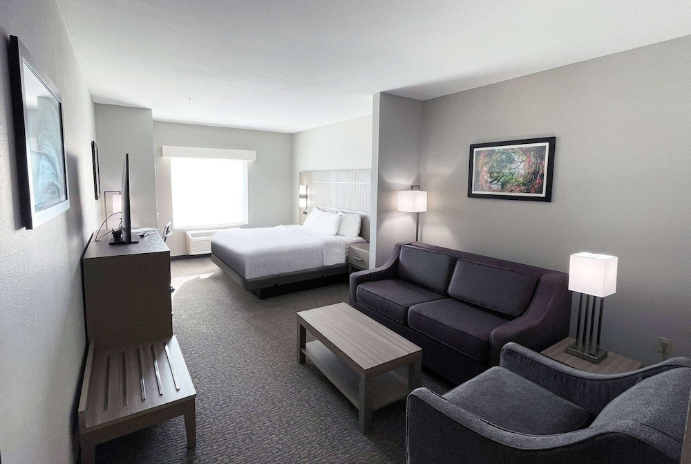 La Quinta Inn & Suites by Wyndham Jackson/Cape Girardeau 33/51