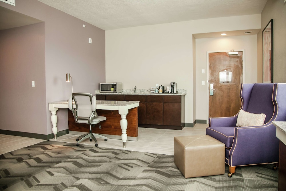 Hilton Garden Inn Tampa Suncoast Parkway 50/53