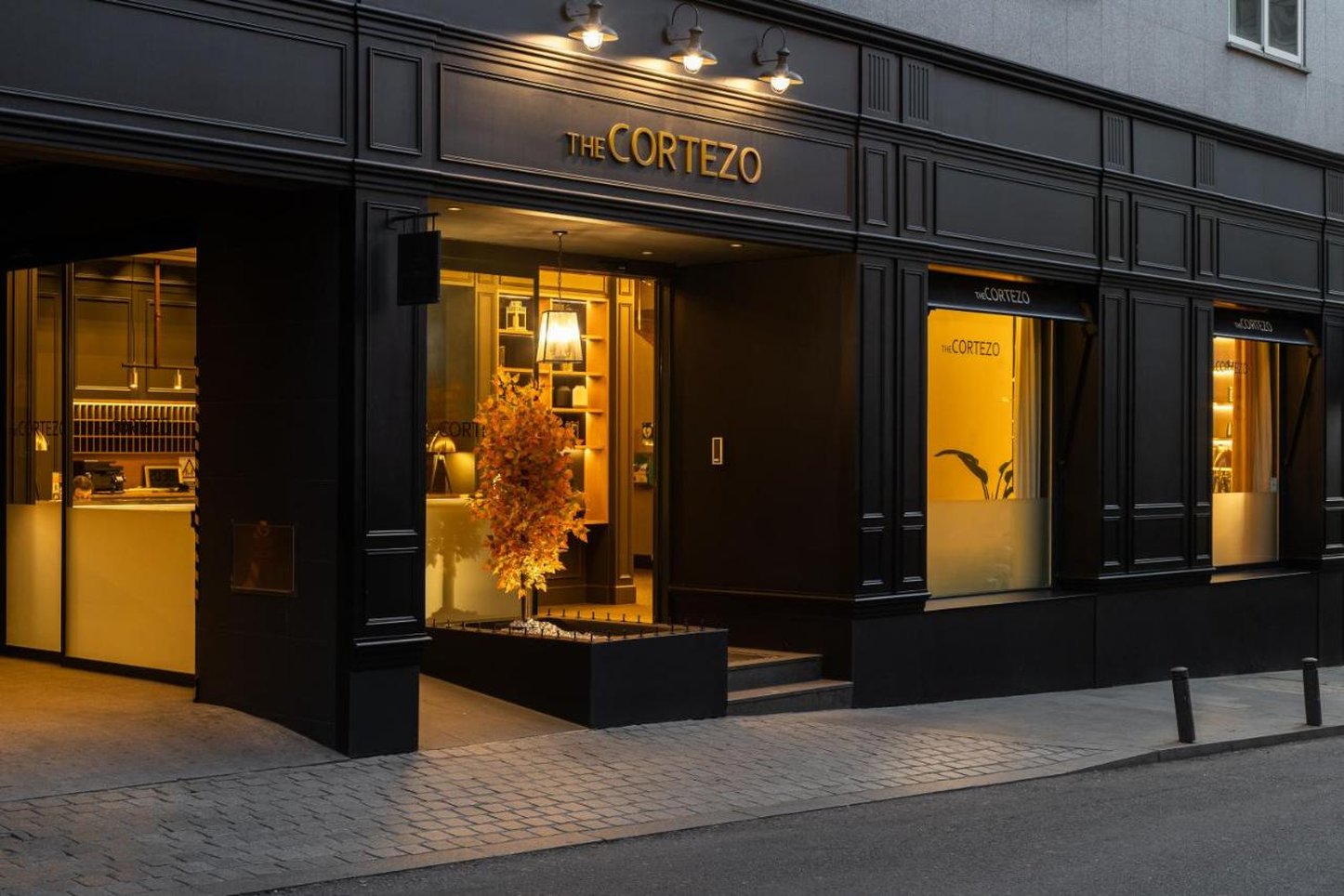 Hotel Cortezo 2/80