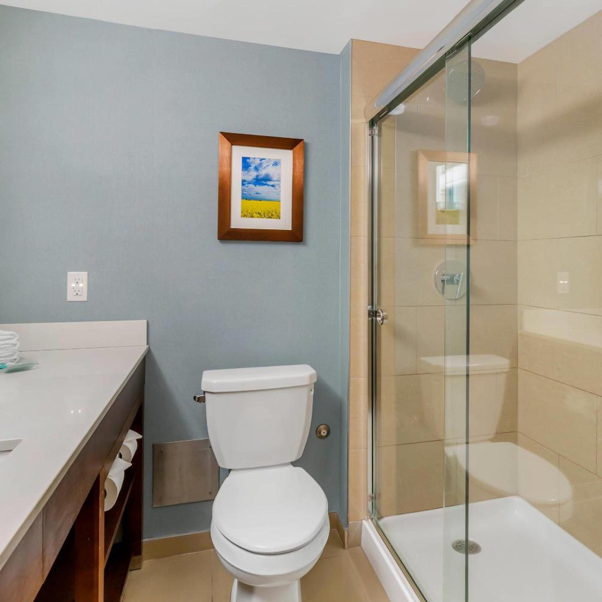 Room, Queen Bed, Sofa, Clarion Hotel & Suites Brandon 3/4