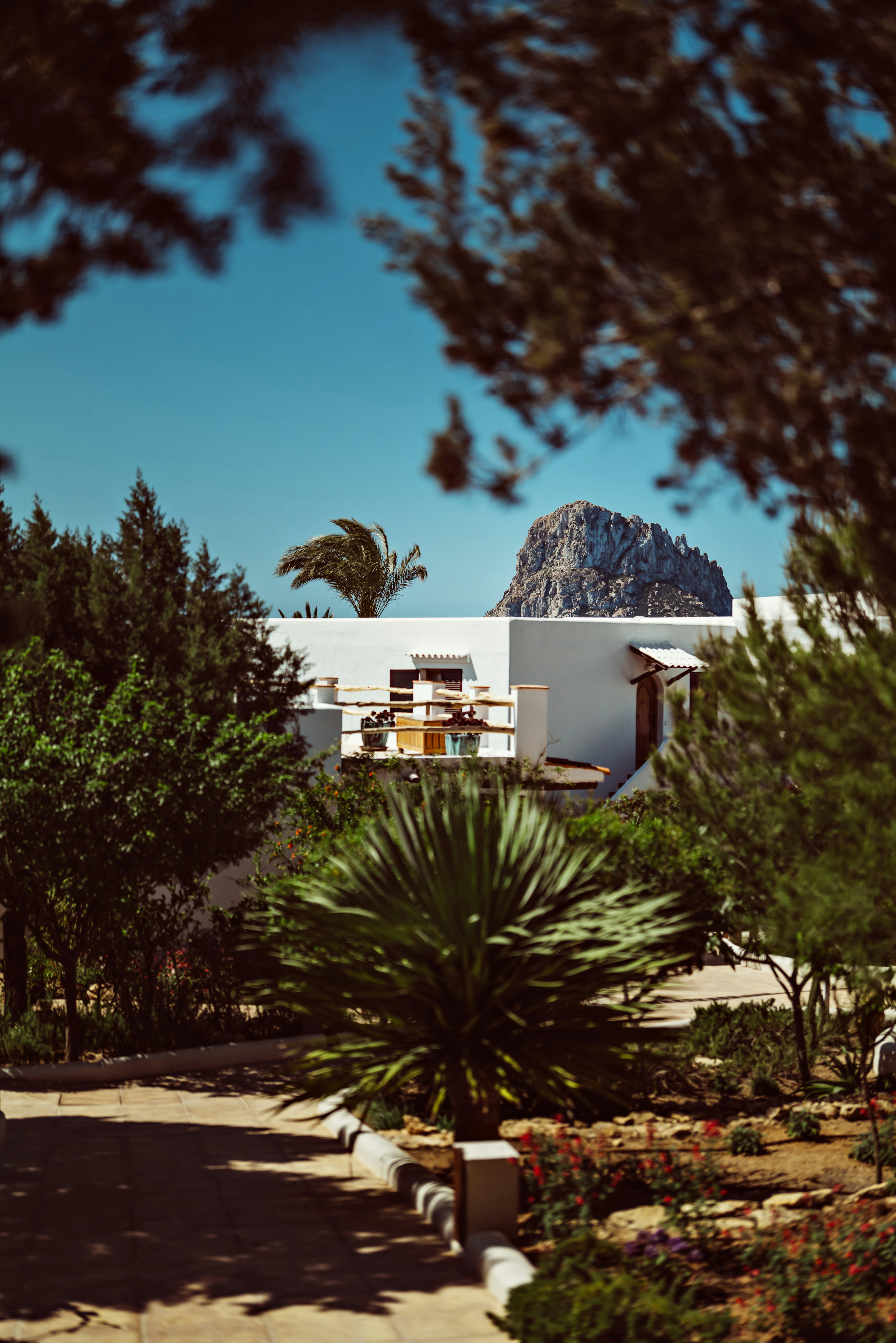 Petunia Hotel Ibiza 46/50