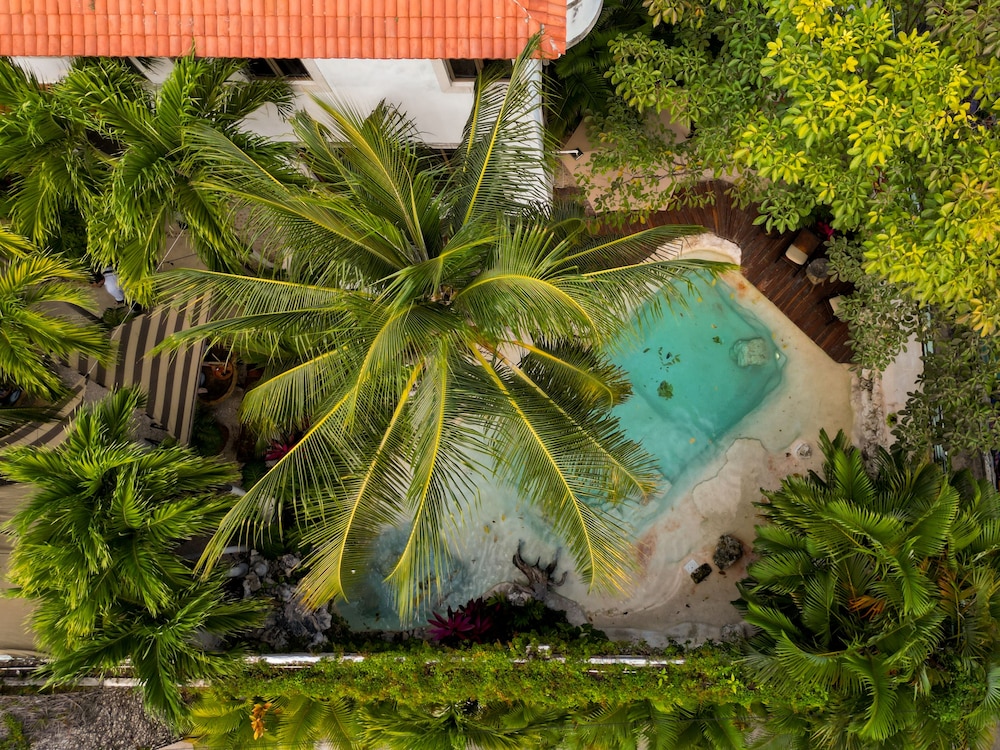 Enigmatic Boutique Hotel 39/44