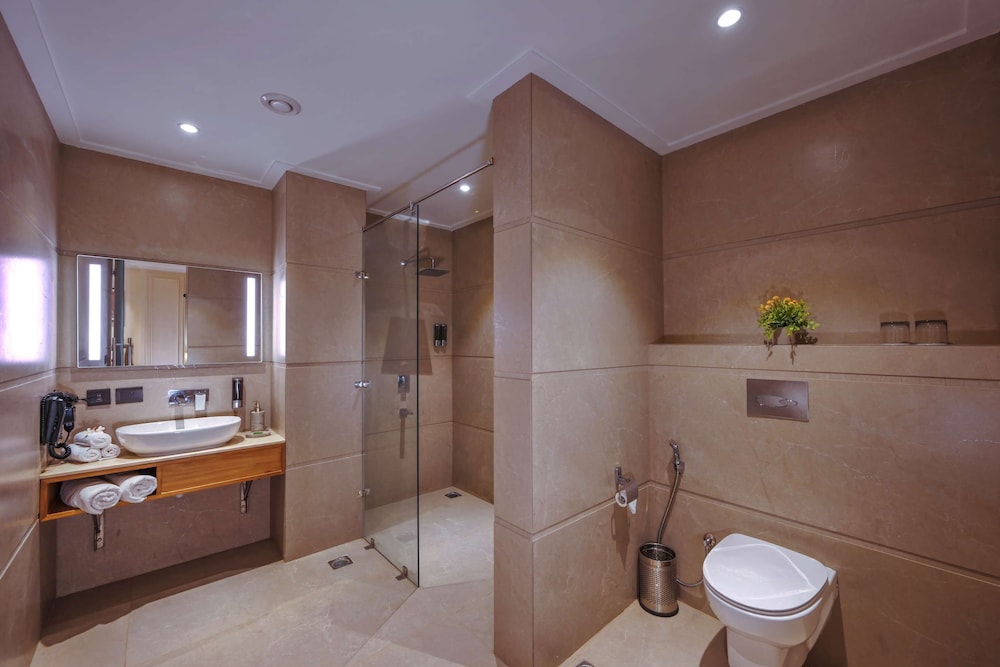 Royale Sarovar Portico Agra 65/65