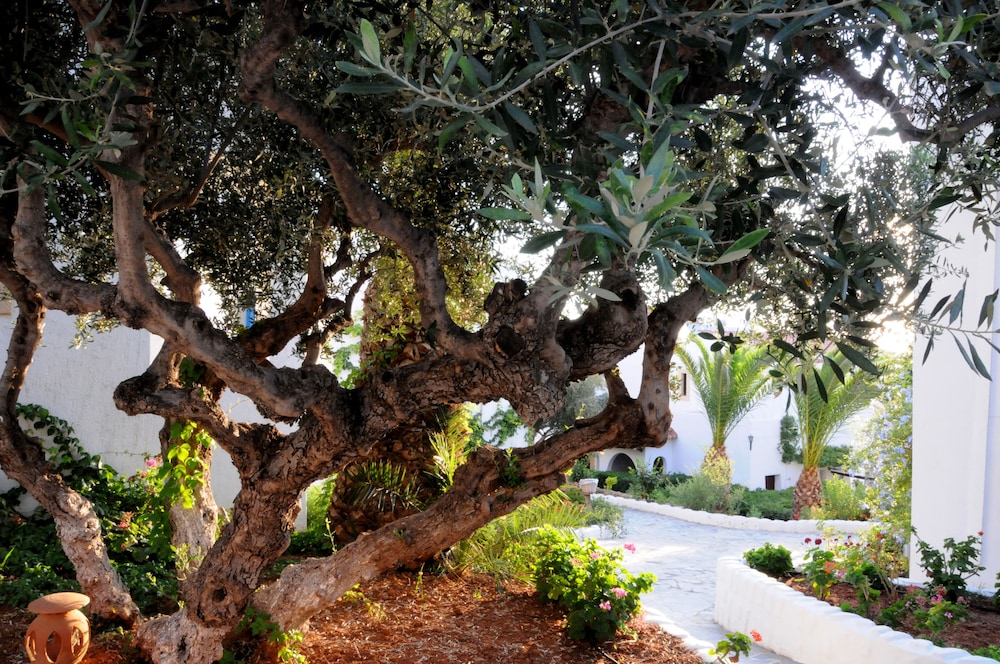 Hersonissos Village in HERSONISSOS
