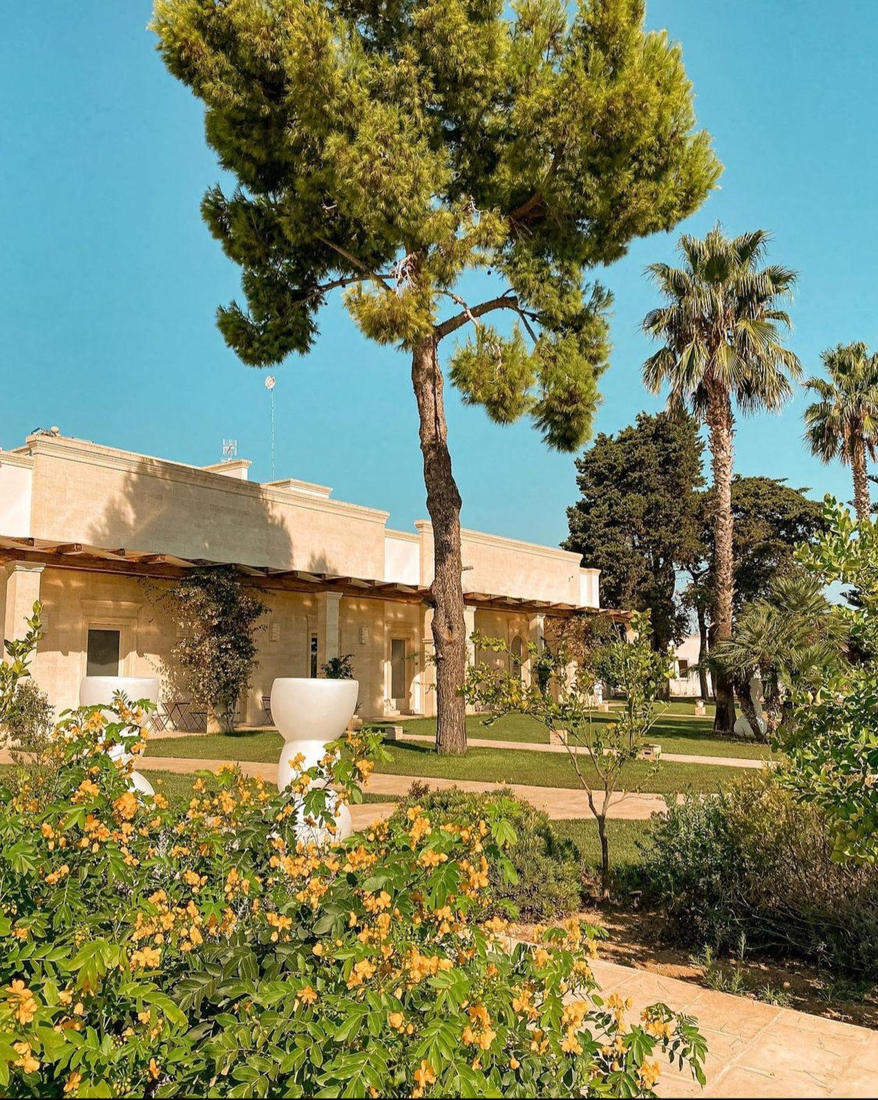 Masseria Elysium 38/50