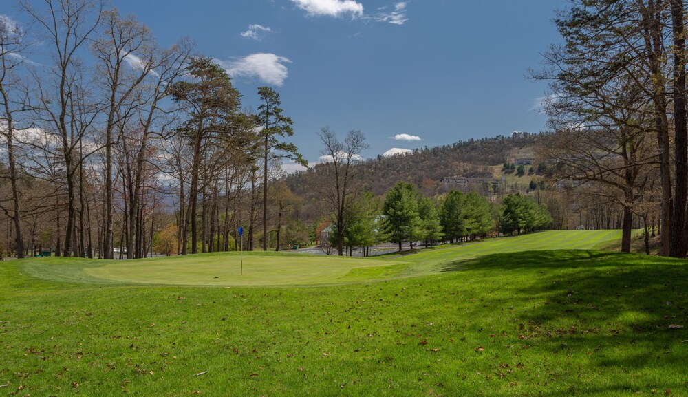 Mountain Villa With Waterpark, Golf, Skiing, Wine Tour Access and More! Massanuttens Shenandoah Vil 46/49