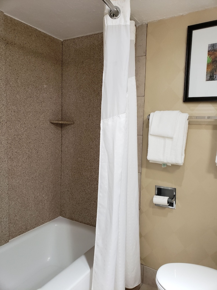 Holiday Inn Express Detroit-Birmingham 17/39