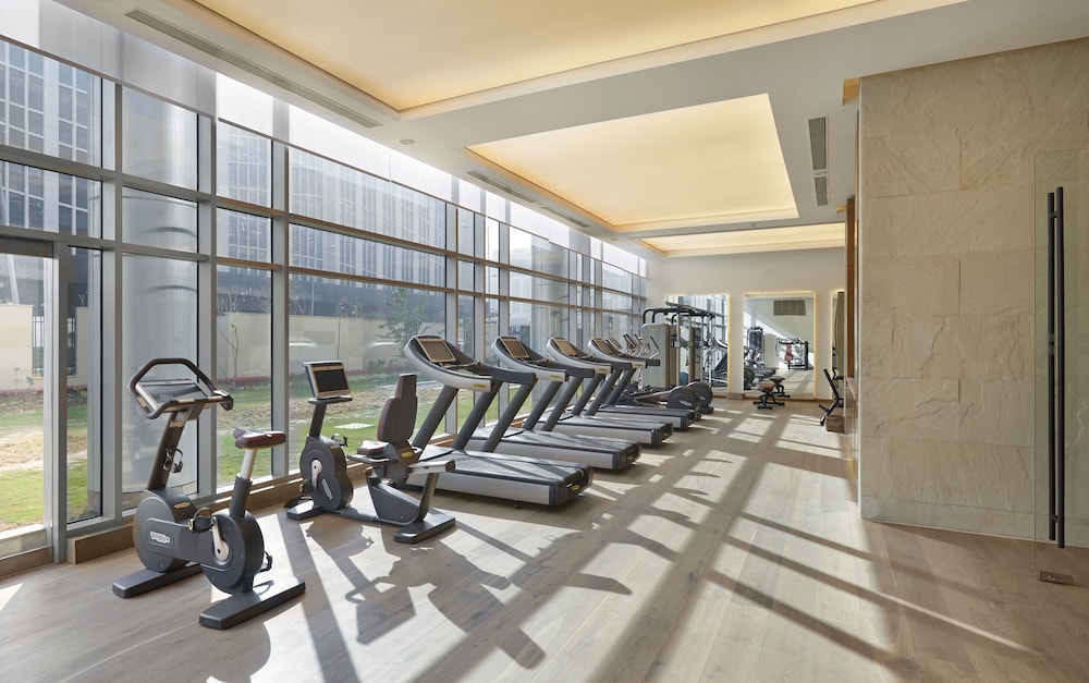 Hyatt Delhi Residences, Aerocity 25/50