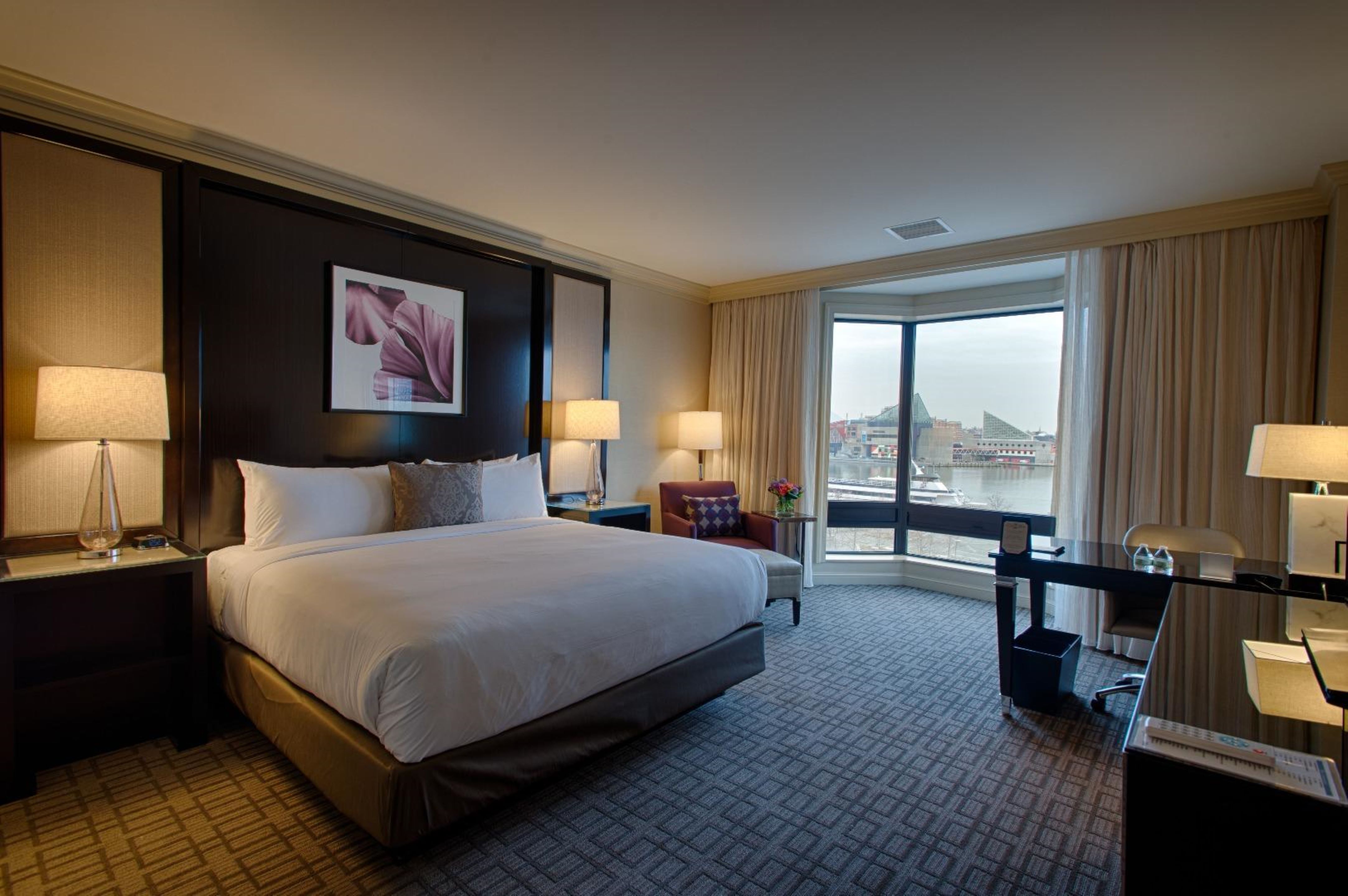 Petite, King Bed, Harbour View