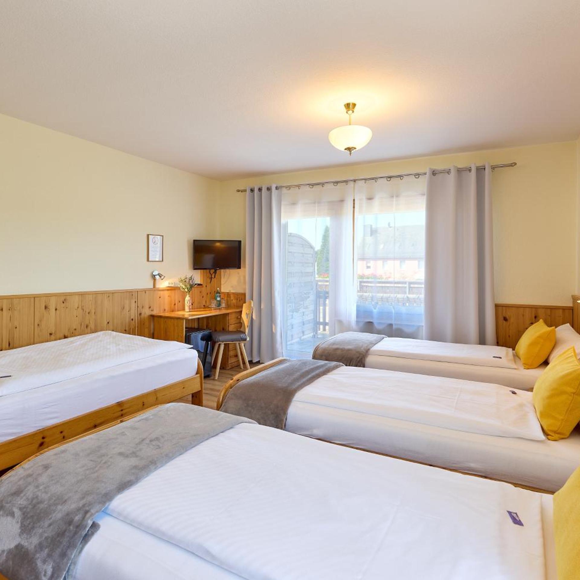 Airport-Hotel Fortuna 22/58