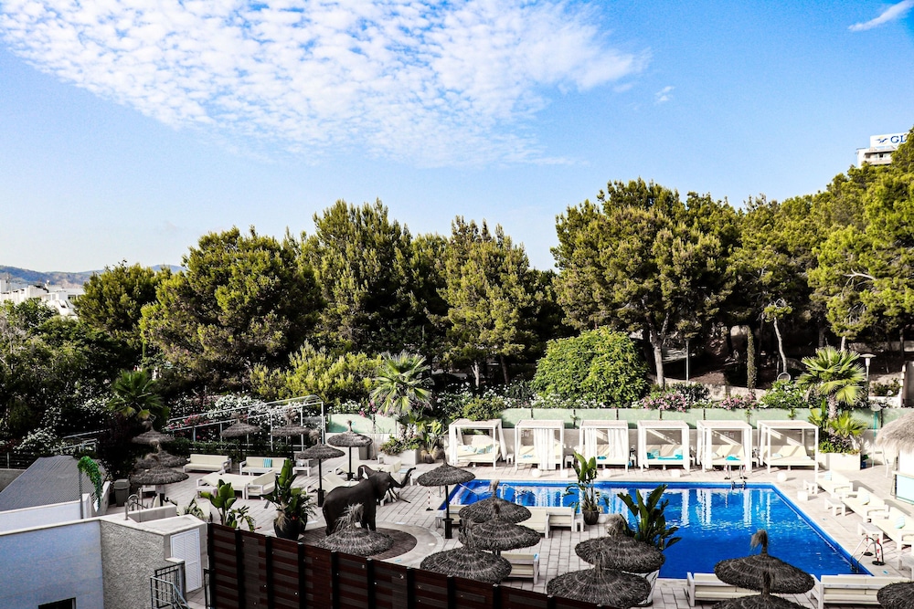 Inn Mallorca Aparthotel 45/49