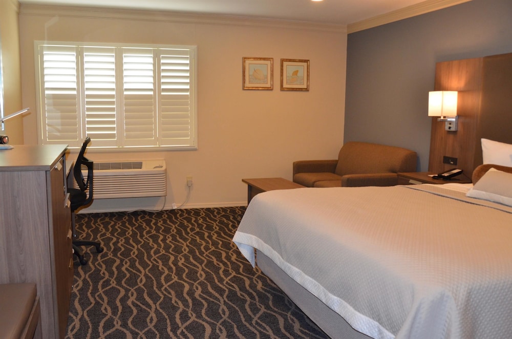 Best Western Plus Hill House 8/43