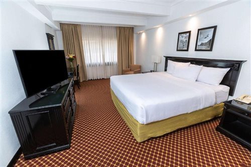 Efficiency, Business, King Bed