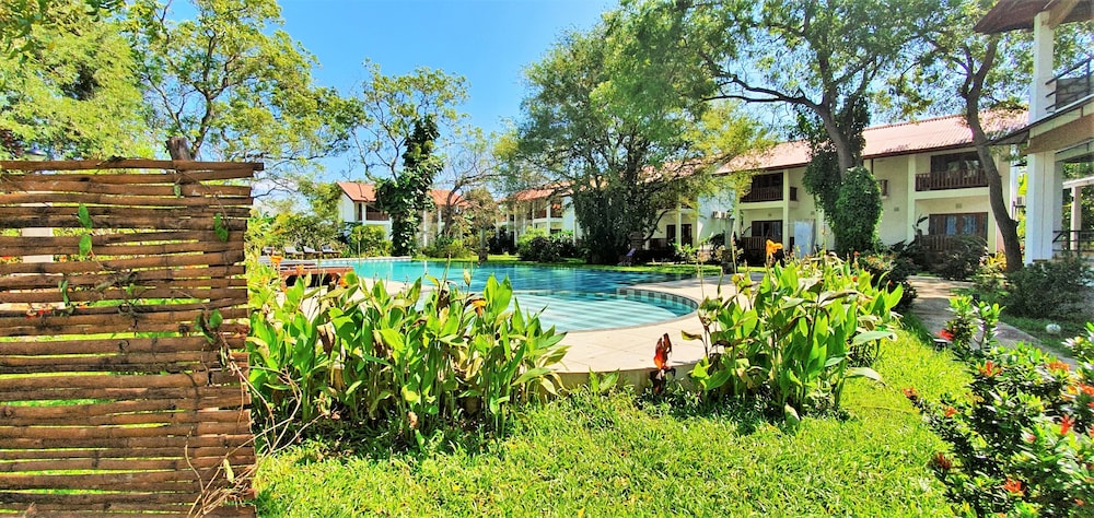 Blue Turtle Hotel 44/51