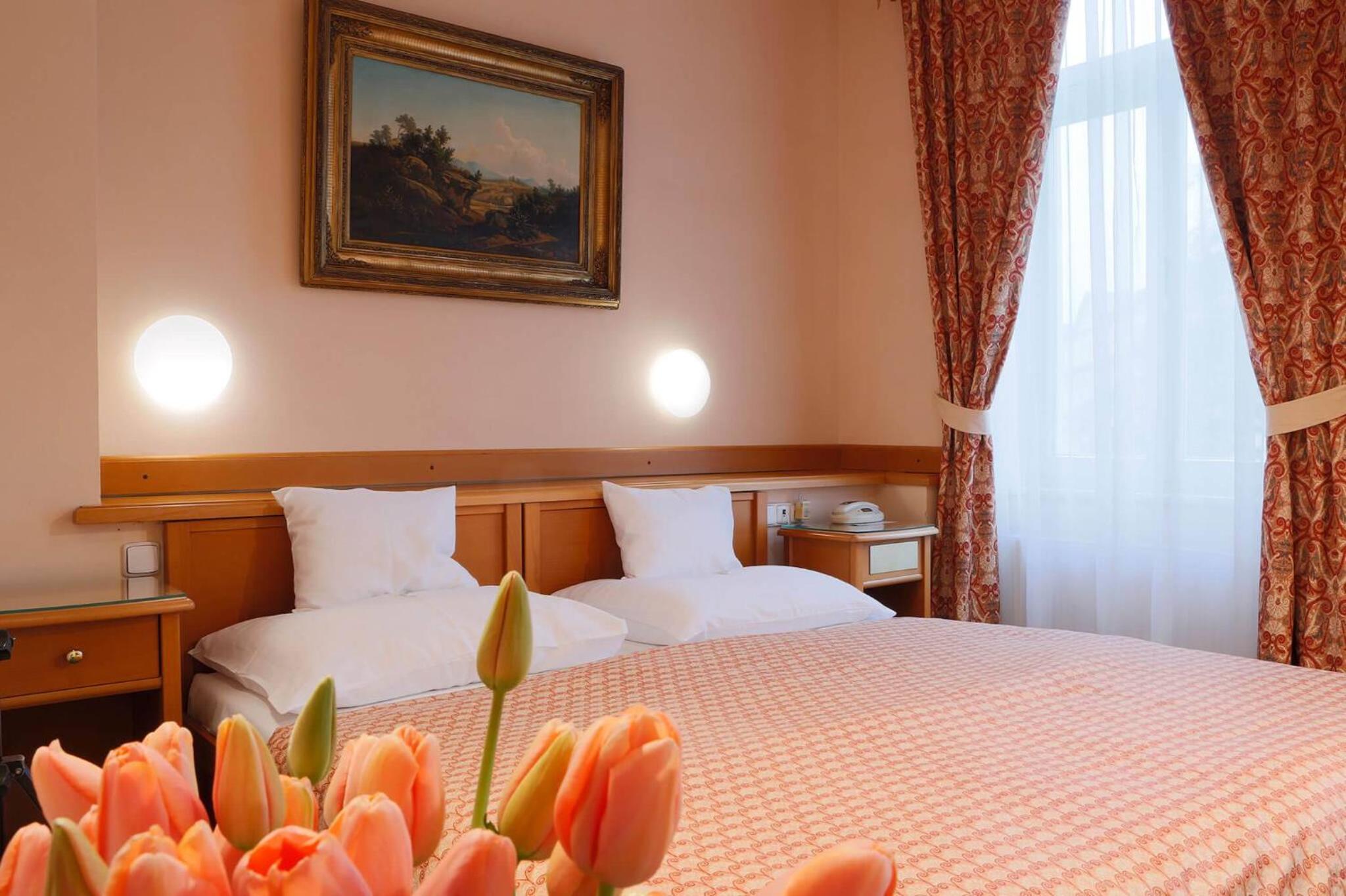 Hotel Pavlov 11/50