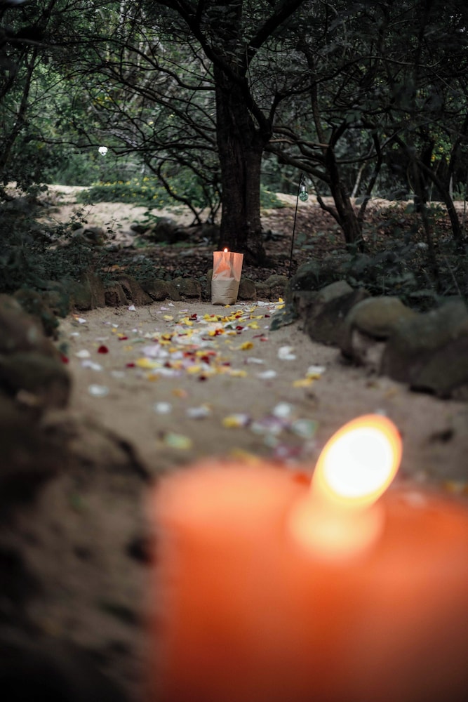 Thulamela Bed And Breakfast 46/50