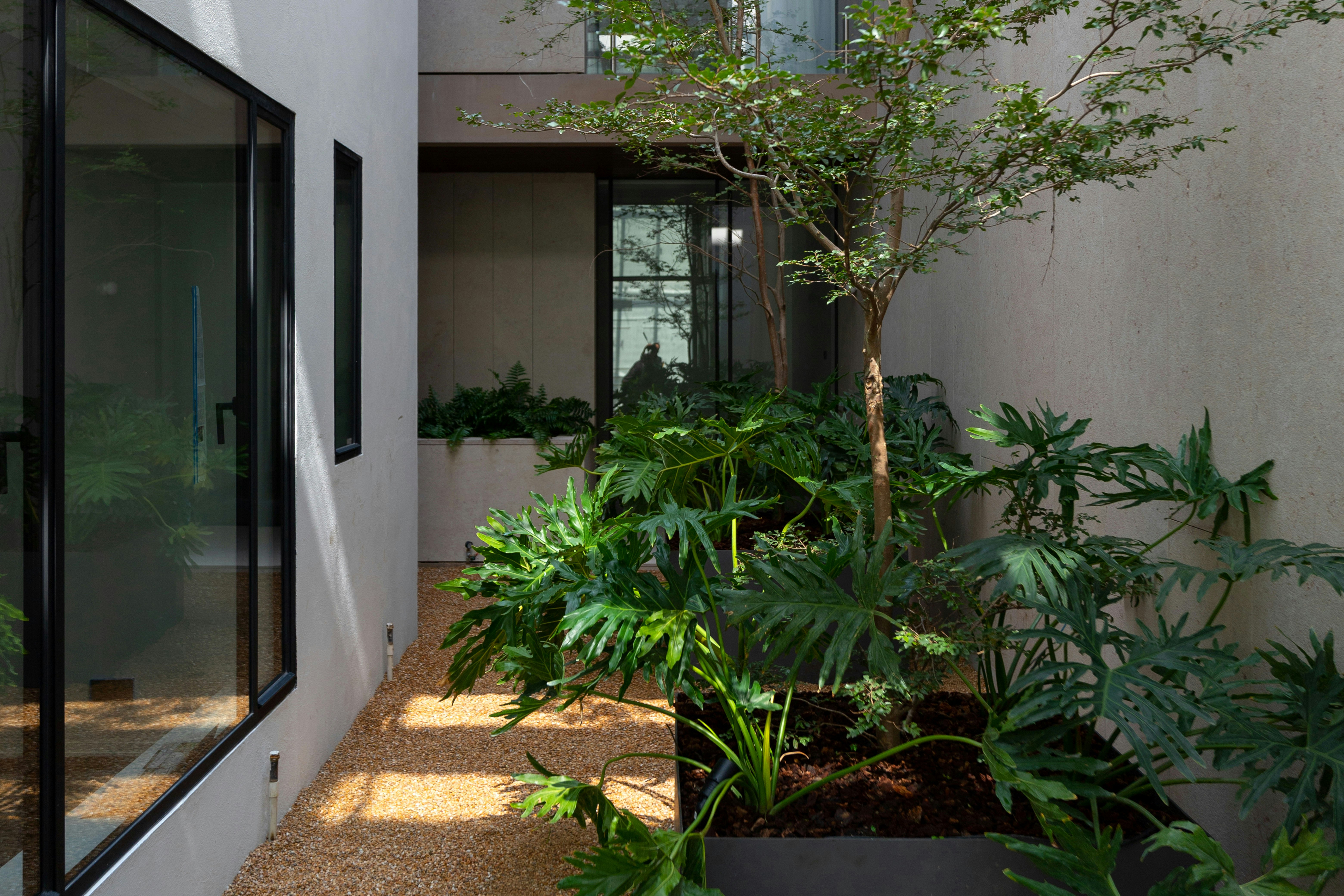 Casa Polanco 45/50