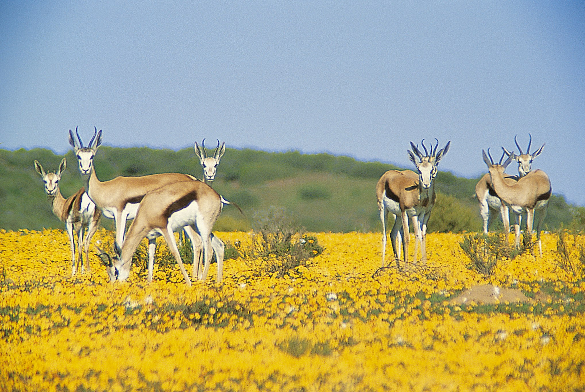 Bushmans Kloof Wilderness Reserve and Wellness Retreat 24/50