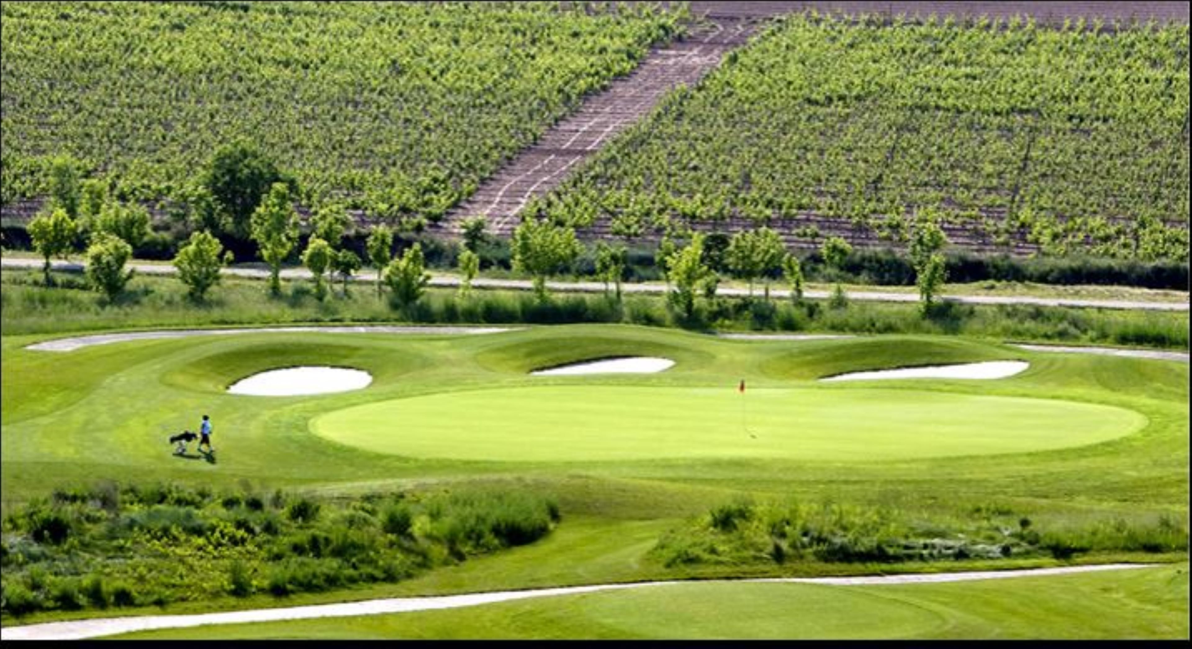 Holiday Inn Express Logrono Rioja By IHG 56/60