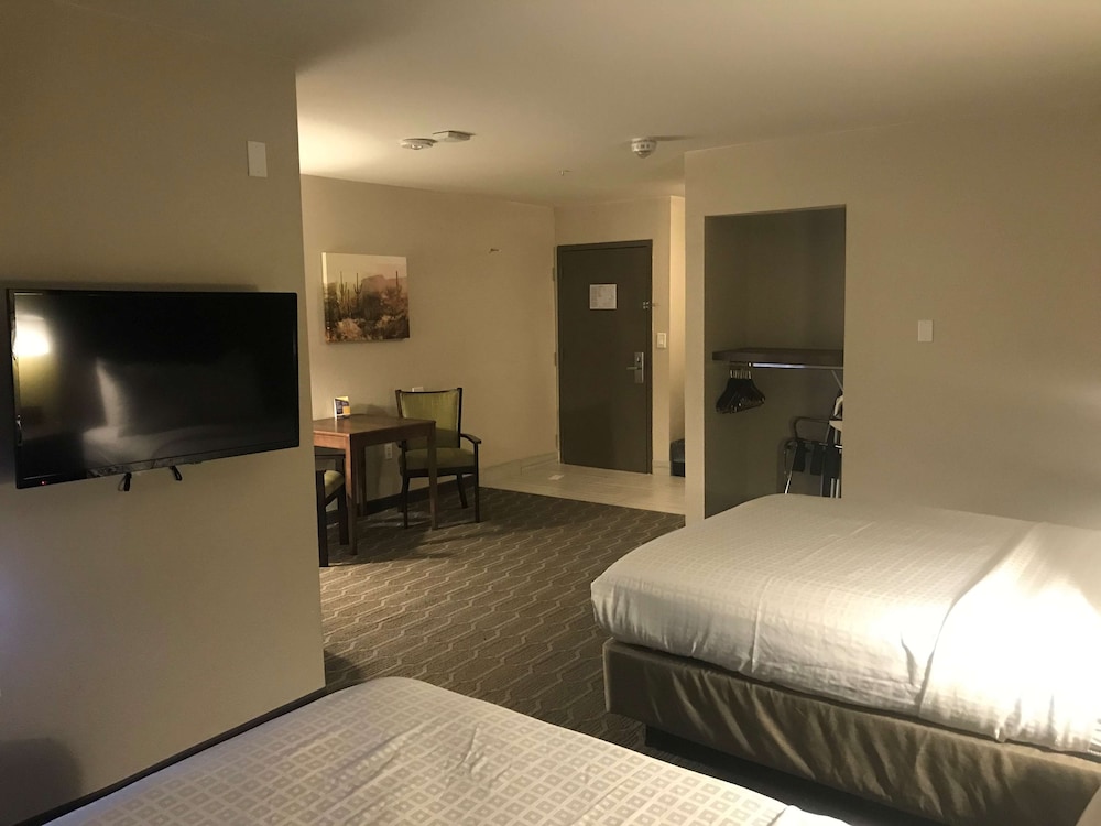 Best Western North Phoenix Hotel 33/76