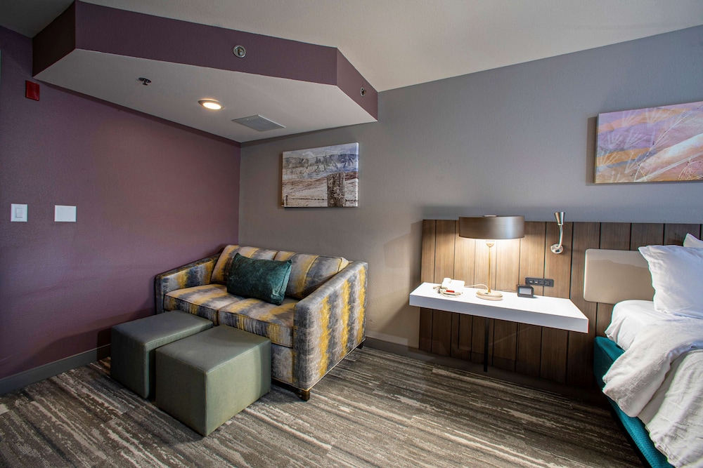 Hilton Garden Inn Rapid City 38/50