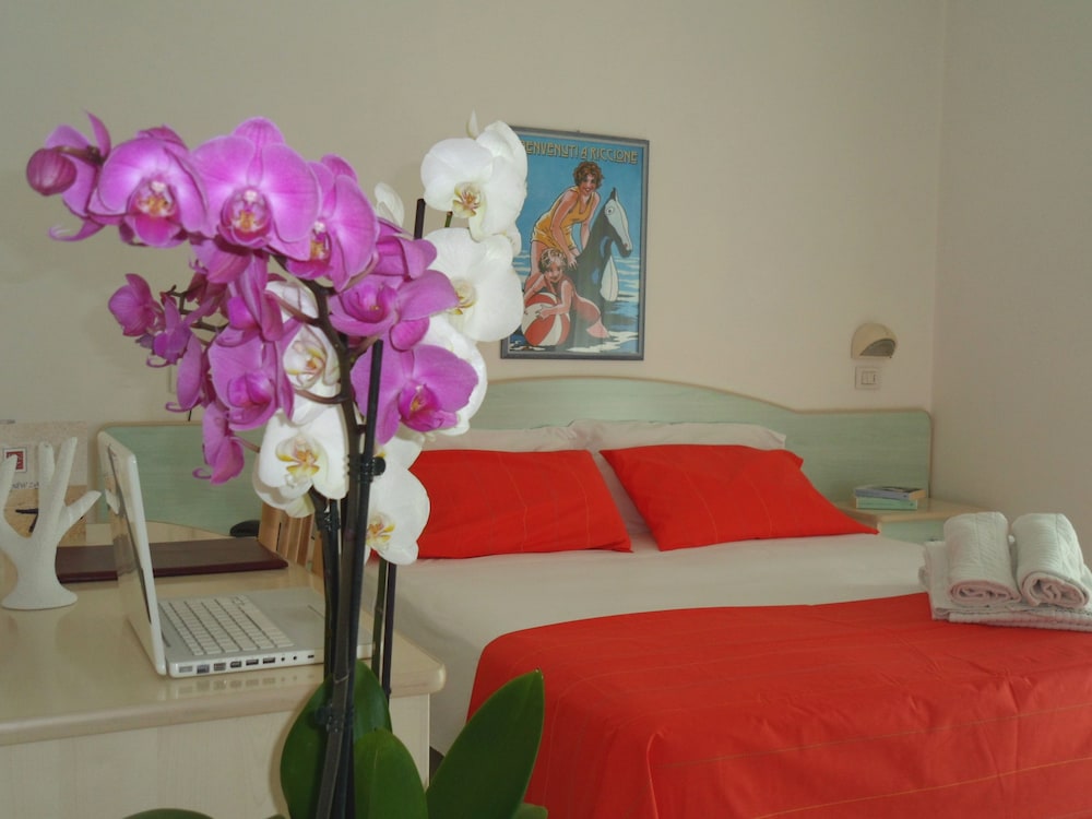 Hotel New Zanarini 11/26