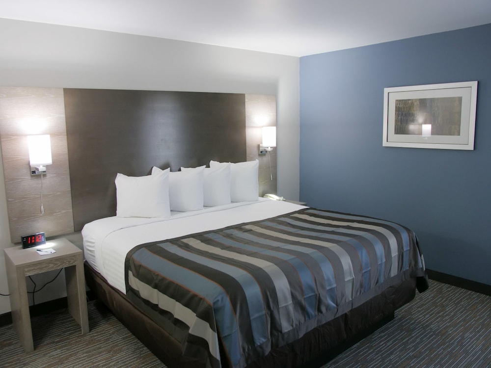 1 Bedroom, Suite, King Bed