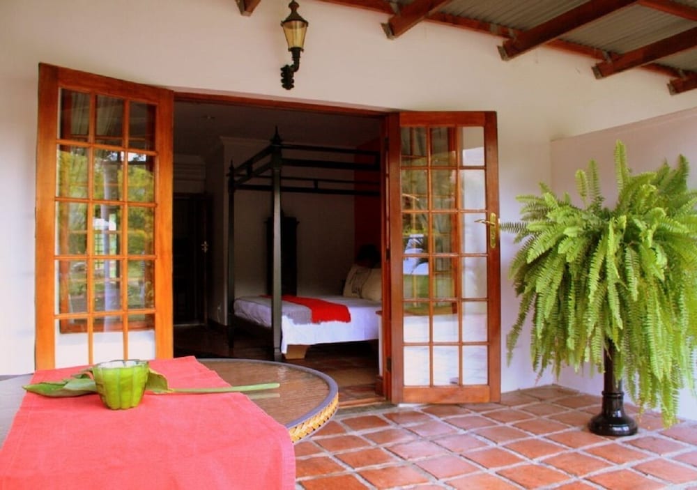 Orange-Ville Guesthouse 4/50