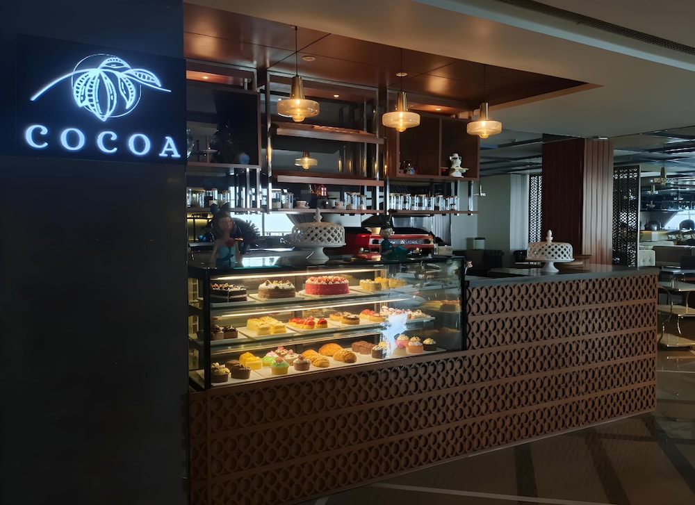 Radisson Hotel Kufri 34/50