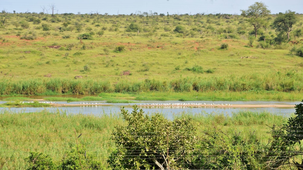 Elephant Walk Retreat 31/50