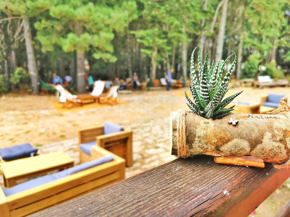 Vallicciola Nature Hotel 44/50
