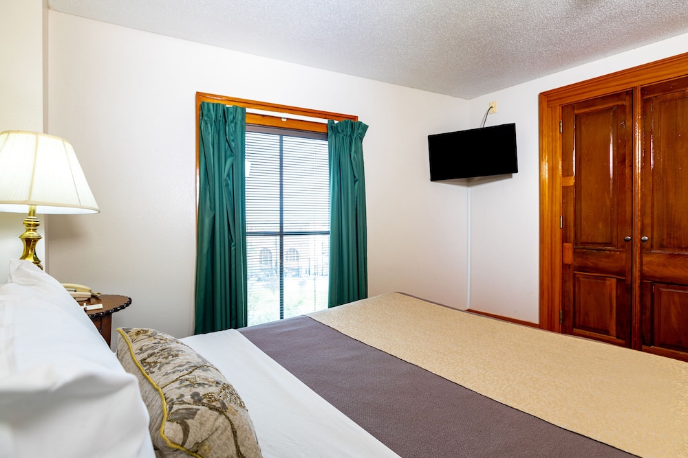 1 BEDROOM, CONDO, BASIC, KITCHENETTE