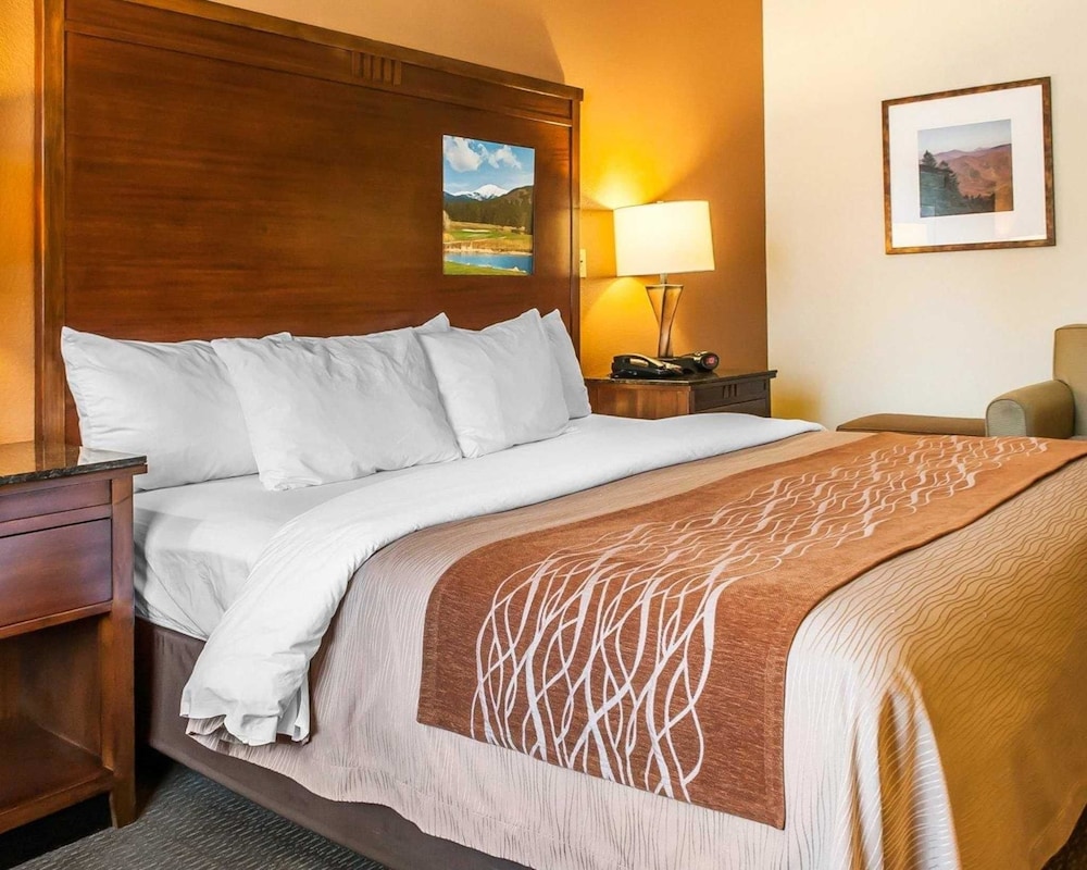 Comfort Inn Midtown 13/50