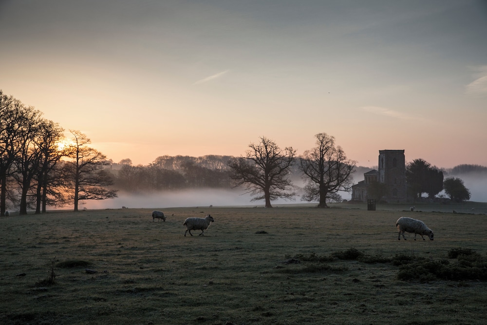 Fawsley Hall Hotel 41/50
