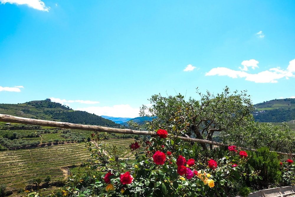 Hotel Rural Quinta do Silval 7/56
