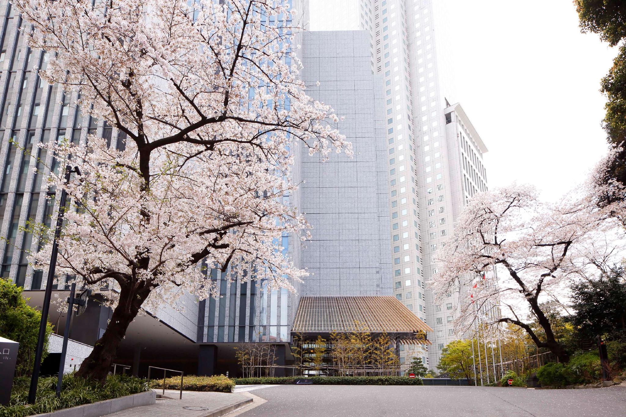 The Capitol Hotel Tokyu in TOKYO