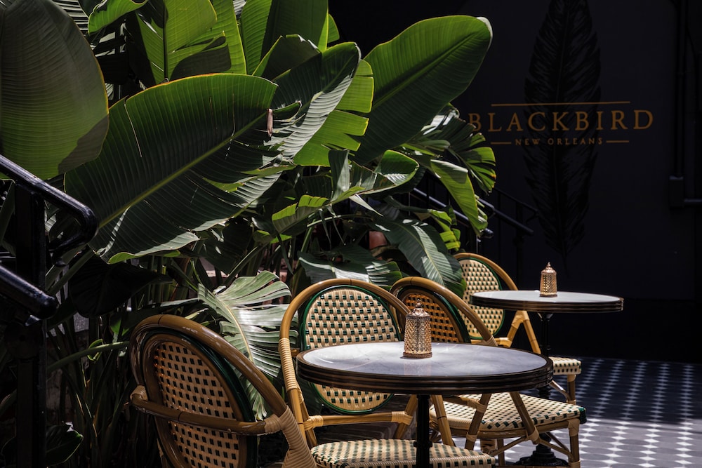 The Blackbird Hotel 44/47