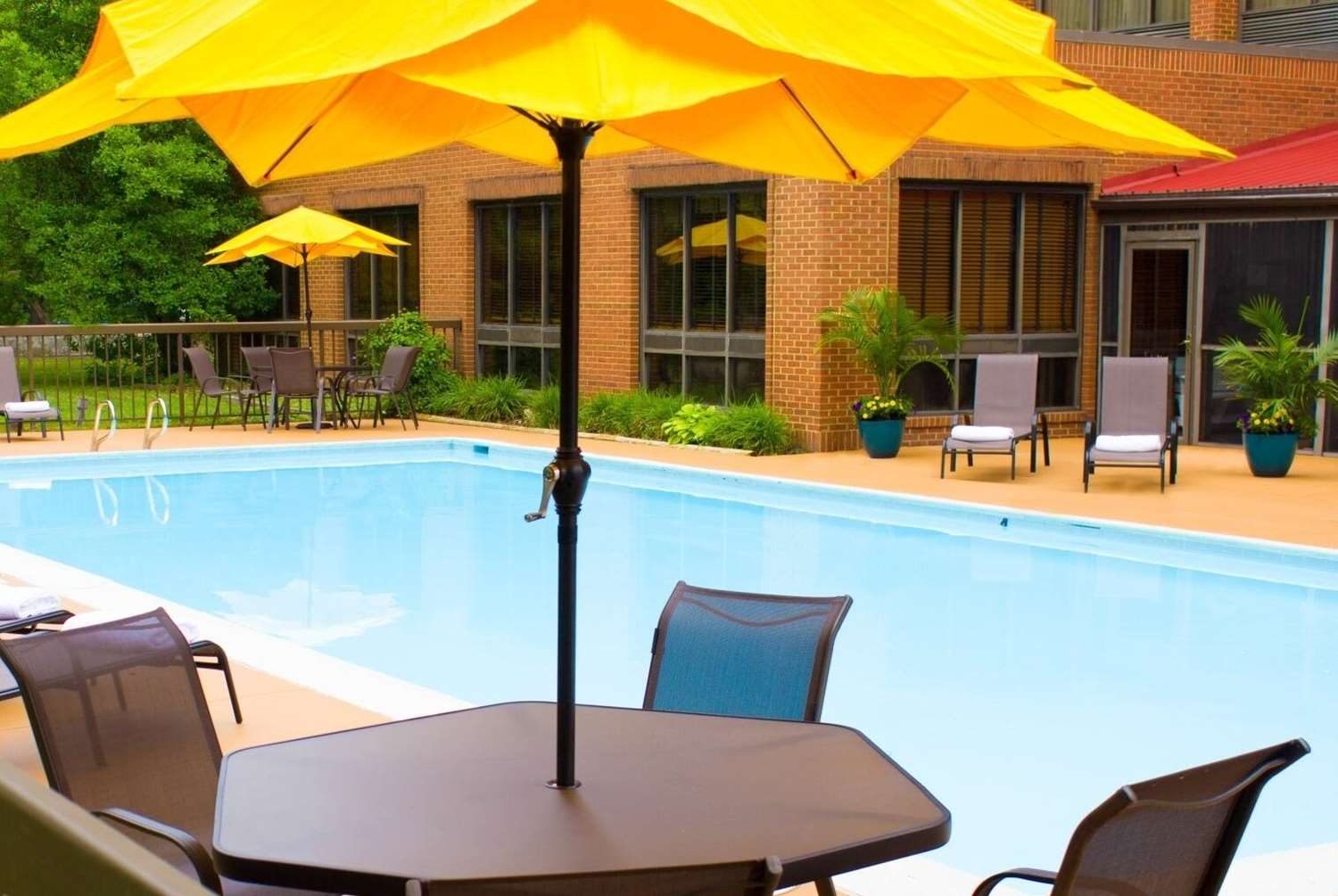 Wyndham Garden Williamsburg Busch Gardens Area 38/39