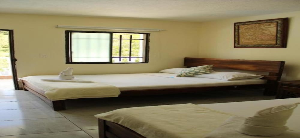 Hotel Natural Sea 5/41