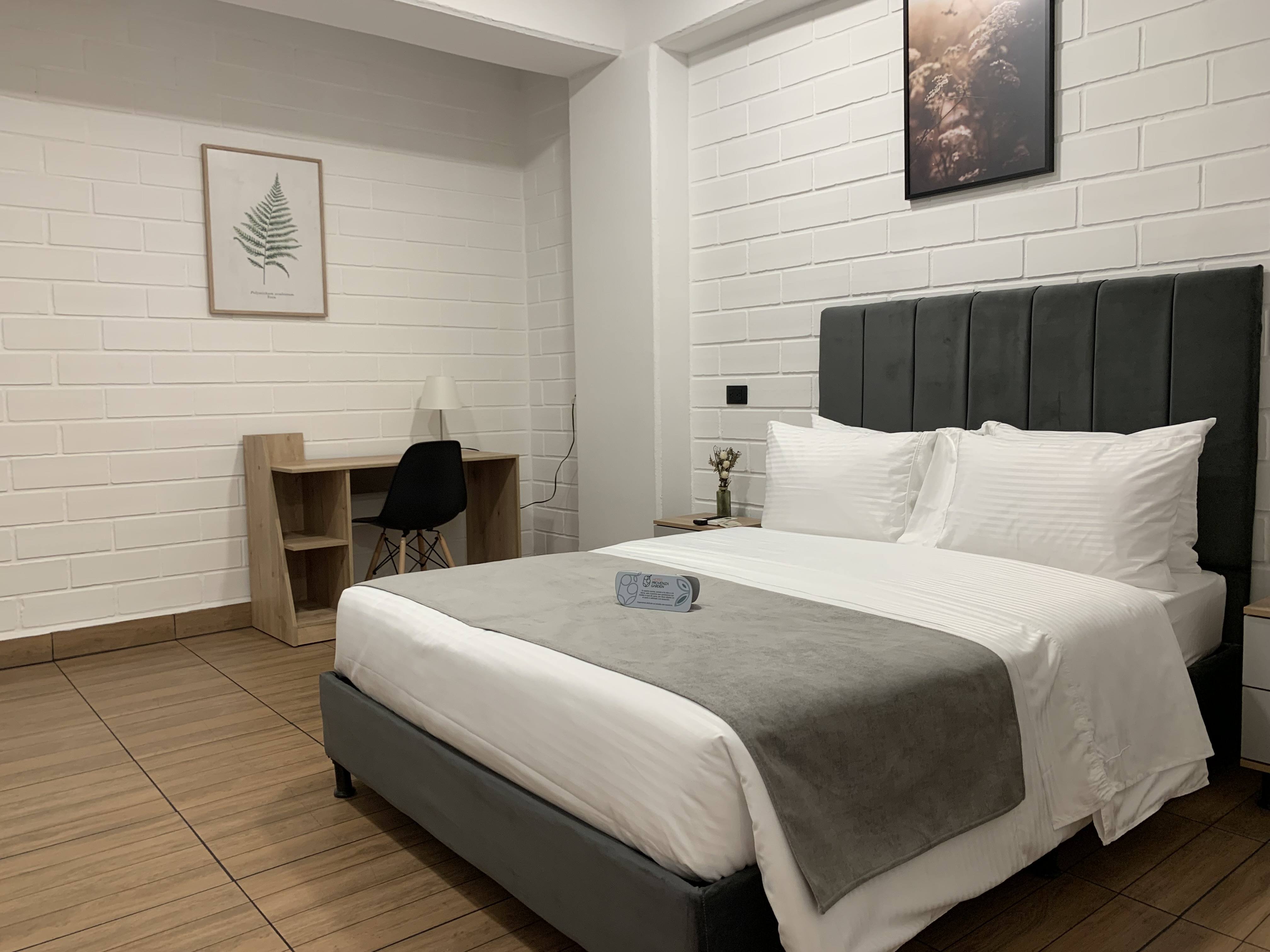 Hotel Natura Medellin 17/50