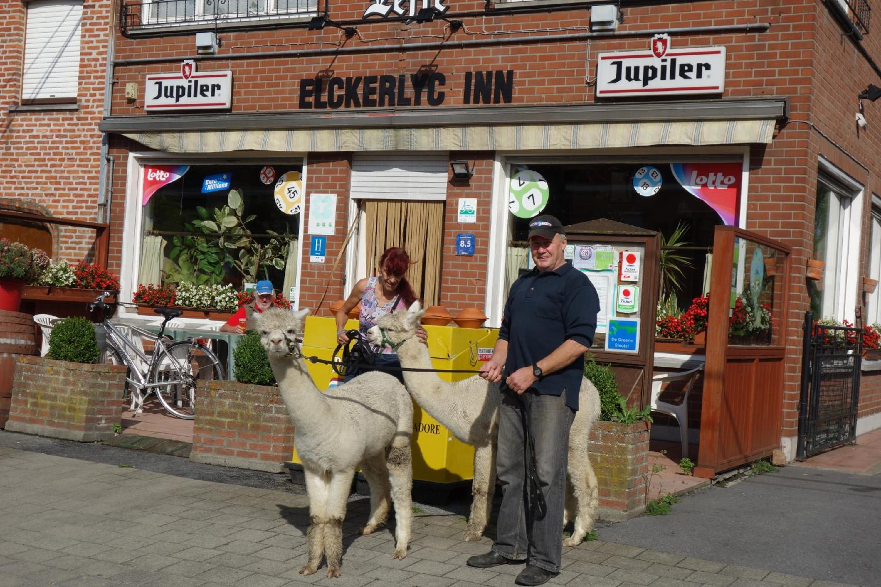 Elckerlyck Inn Hotel 3/45