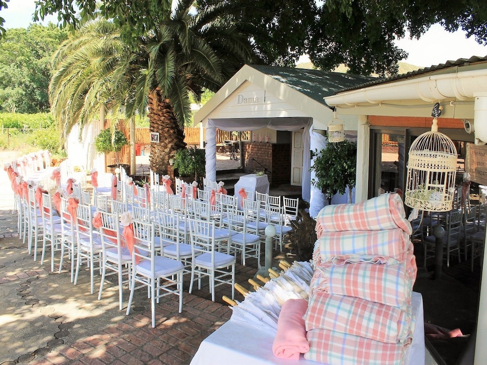 Damas Guest Farm 36/50