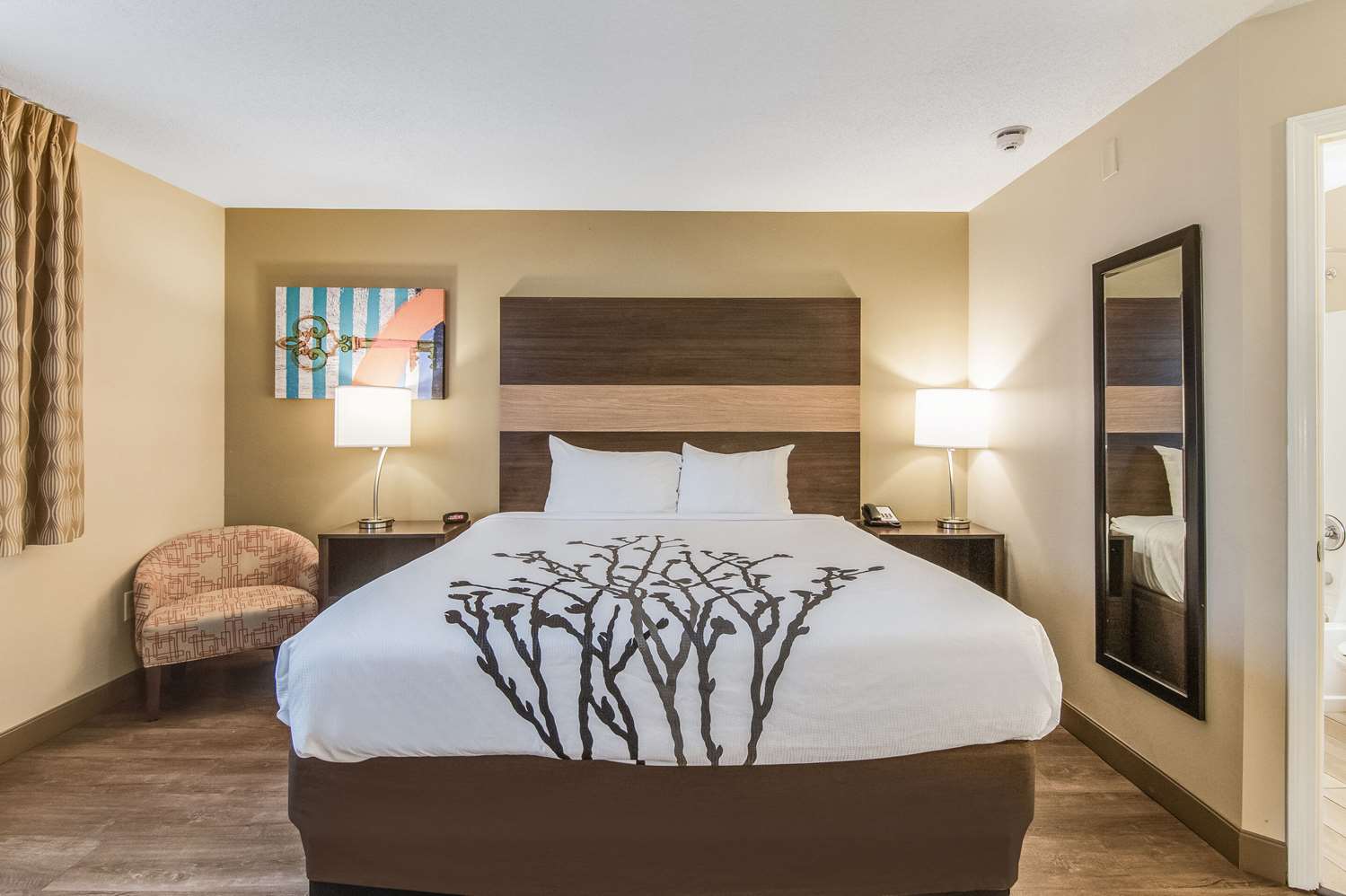 Efficiency, Suite, King Bed, Accessible