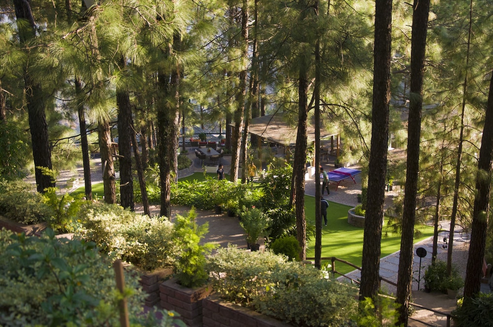 UNA Comfort Kasauli Hills Resorts 48/50