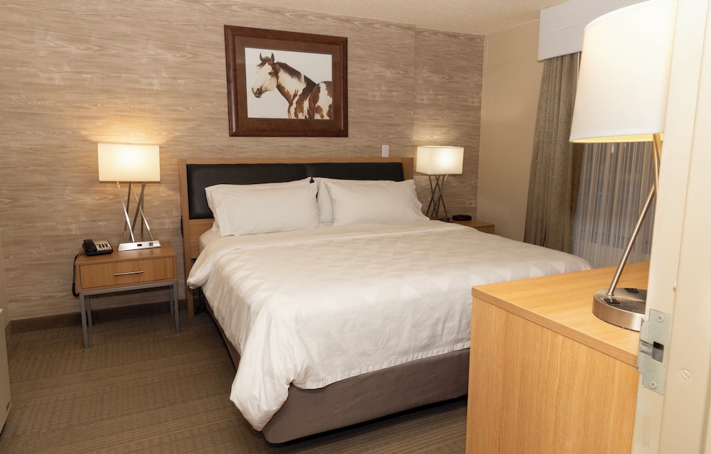 1 Bedroom, Suite, King Bed, Pool Access