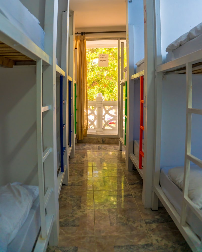 Wonderland Party Hostel 3/51