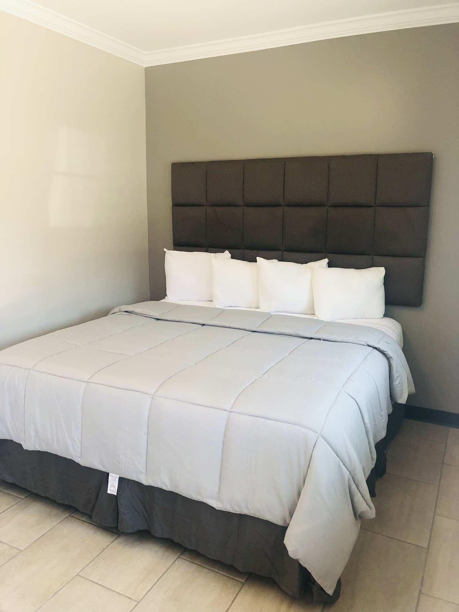 Room, Single, King Bed, Accessible