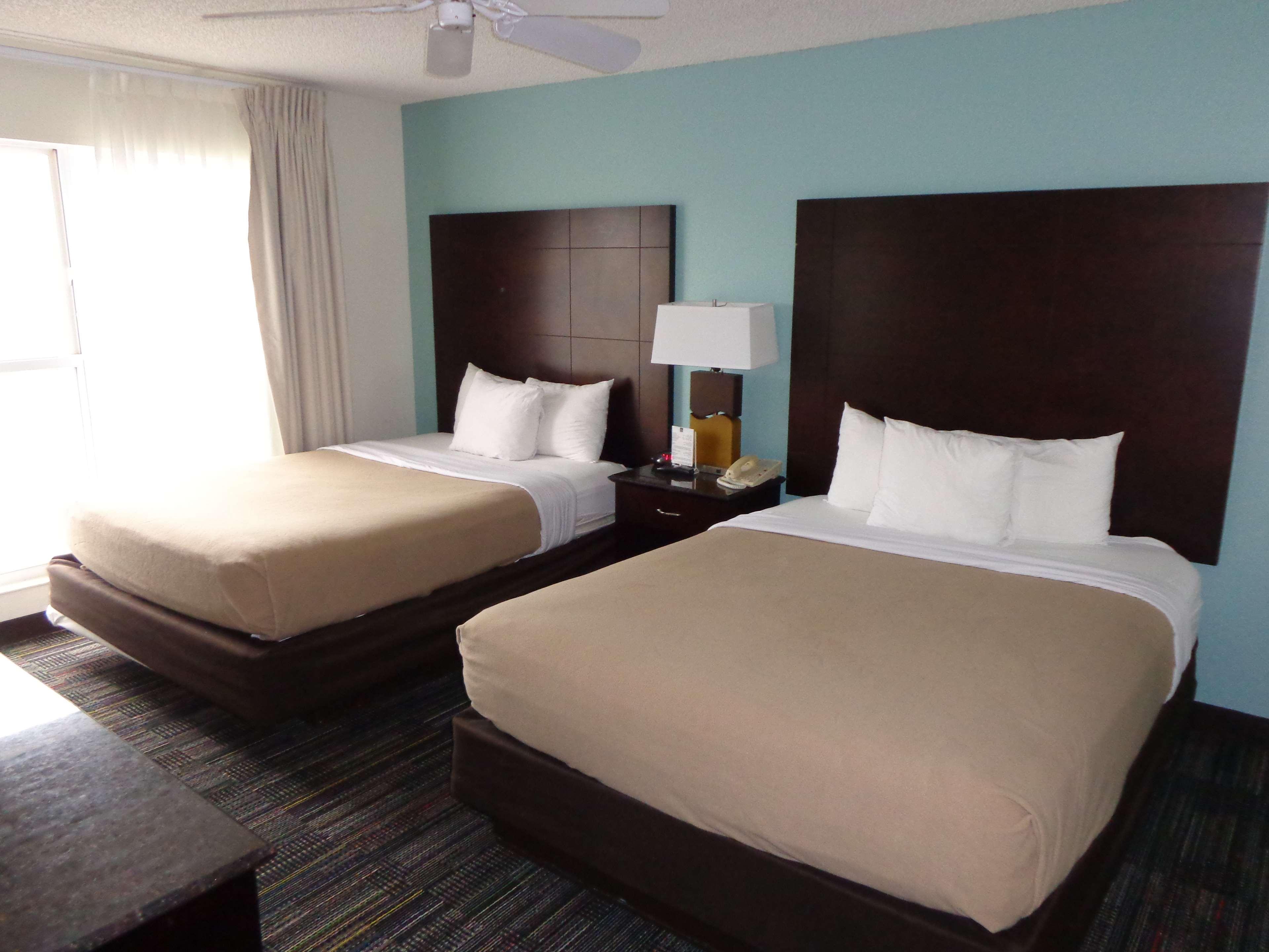 2 Bedrooms, Suite