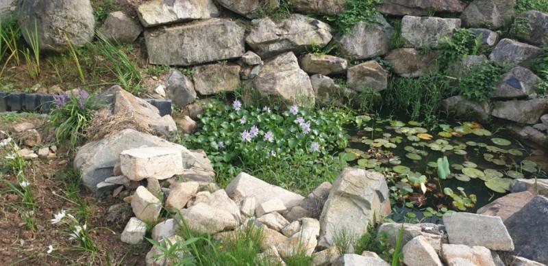 Garden Pension in Tasha, Tongyeong 8/29